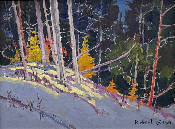 Robert Genn artwork 'Sunny Surprise' at White Rock Gallery