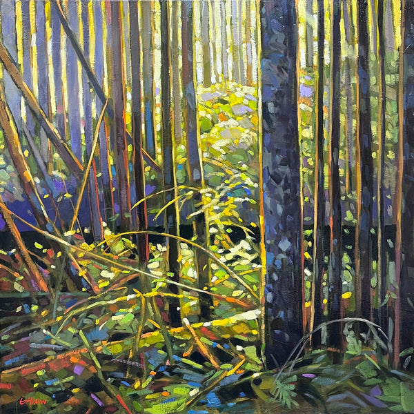 Graeme Shaw artwork 'Graeme Shaw - "Wiegles Road, Forest Morning"' at White Rock Gallery