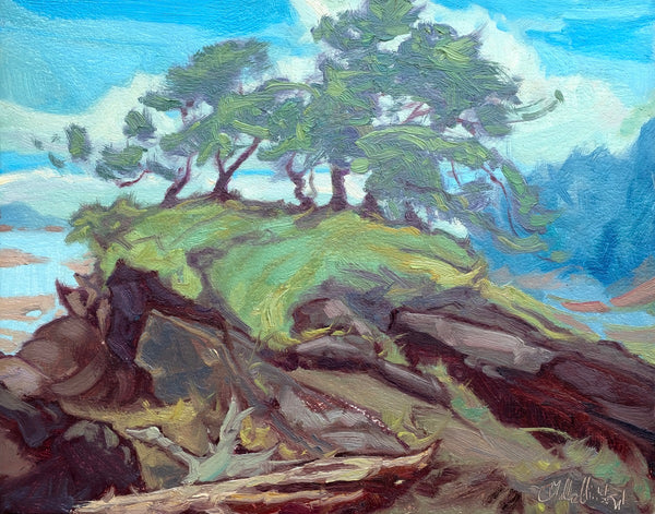 Dominik J. Modlinski artwork 'Beginning of Summer' at White Rock Gallery