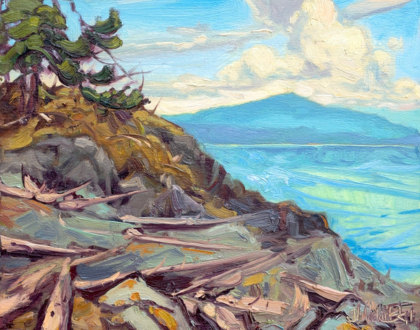 Dominik J. Modlinski artwork 'Coastal Shoreline' at White Rock Gallery