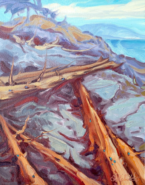 Dominik J. Modlinski artwork 'Drift Logs' at White Rock Gallery