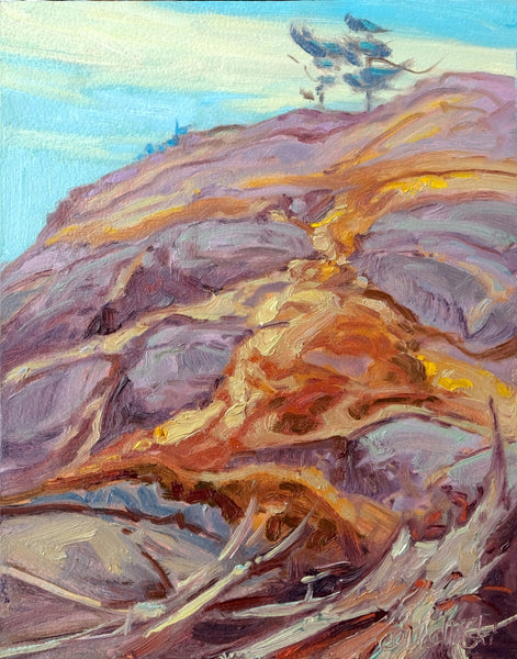 Dominik J. Modlinski artwork 'Tapestry of Rock Face' at White Rock Gallery