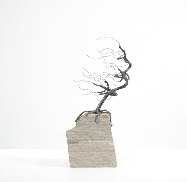 Floyd Elzinga artwork '#25-050 Rooted in Rock' at White Rock Gallery