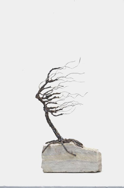 Floyd Elzinga artwork '#24-402 Rooted in Rock' at White Rock Gallery