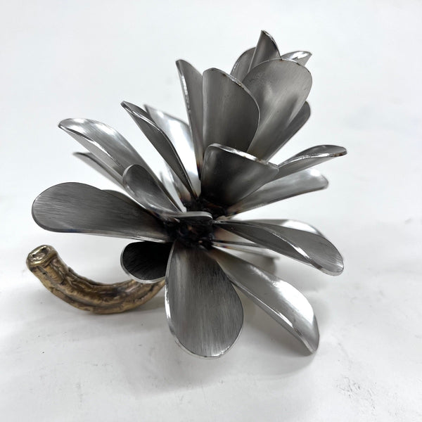 Floyd Elzinga artwork '#25-420 Pinecone' at White Rock Gallery