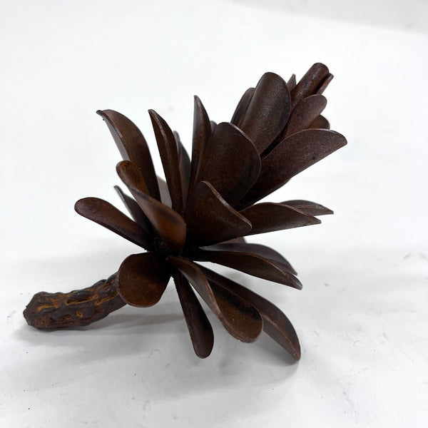 Floyd Elzinga artwork '#25-345 Pinecone' at White Rock Gallery