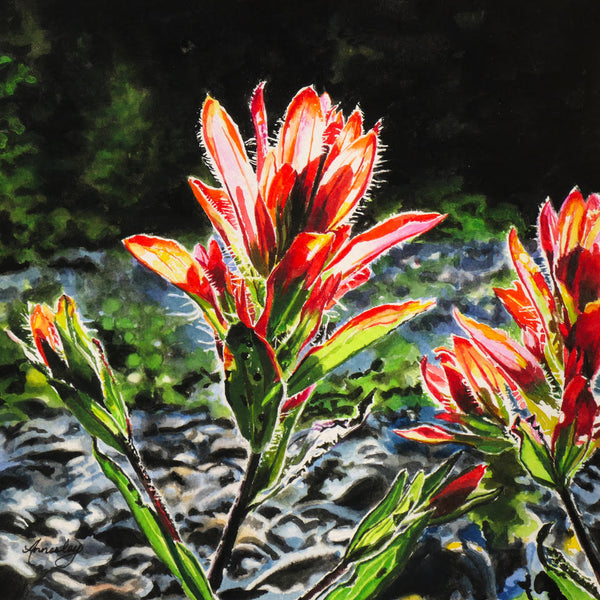 Jennifer Annesley artwork 'Jennifer Annesley - "Rocky River Paintbrush"' at White Rock Gallery