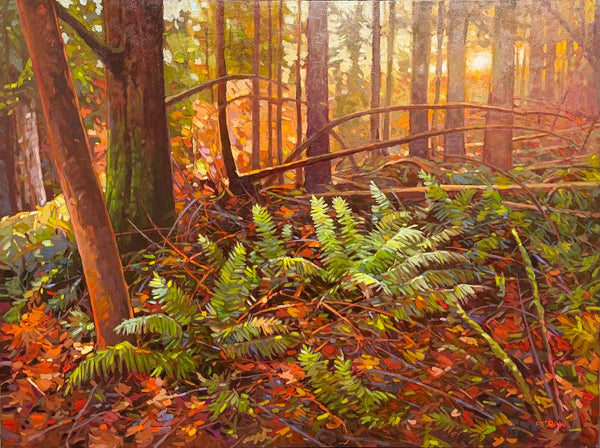 Graeme Shaw artwork 'Morning Glory (Wiegles Road)' at White Rock Gallery