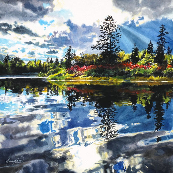 Jennifer Annesley artwork 'Paddle North' at White Rock Gallery
