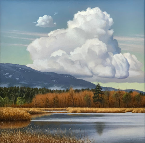 Ray Ward artwork 'Ray Ward - November Wetland 2' at White Rock Gallery
