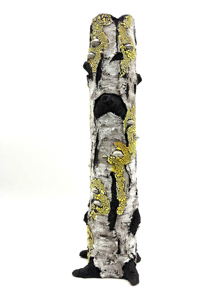 Lichen Dance