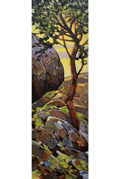 Linley Valley Arbutus