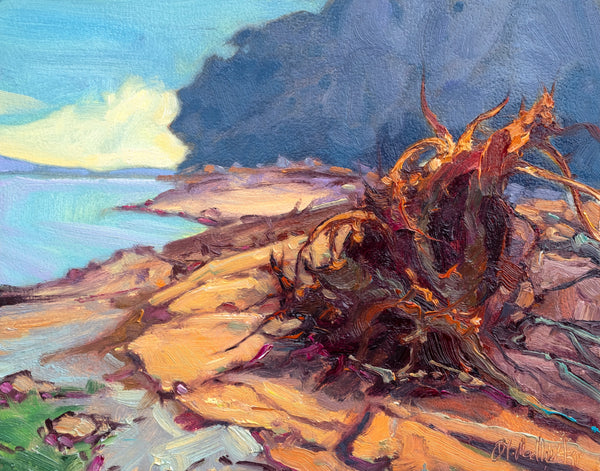 Weathered by the Sea