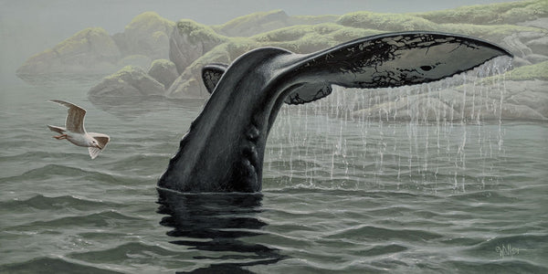 Christopher Walker artwork 'Harbour' at White Rock Gallery