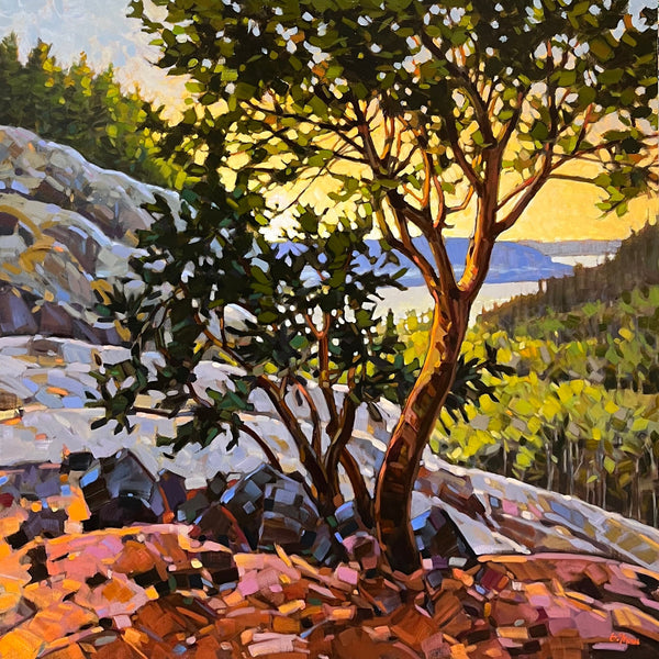 Graeme Shaw artwork 'Graeme Shaw - "As Morning Comes"' at White Rock Gallery