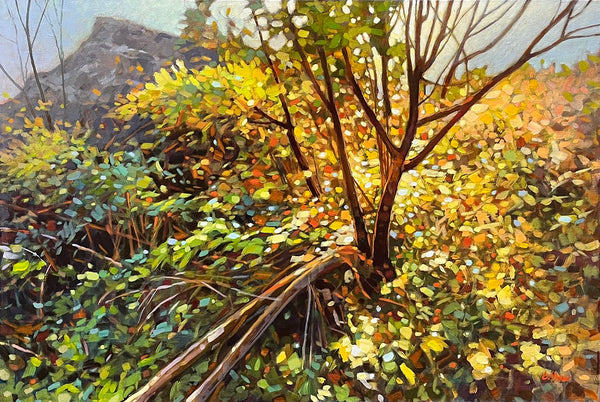 Graeme Shaw artwork 'Graeme Shaw - "Linley Valley Morning"' at White Rock Gallery