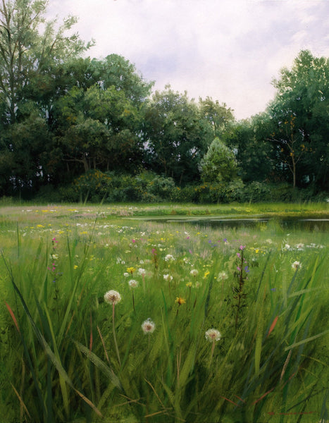 Renato Muccillo artwork 'Renato Muccillo - "Seeding Field"' at White Rock Gallery