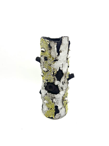 Bev Ellis artwork 'Bev Ellis - "Delicately Designed"' at White Rock Gallery