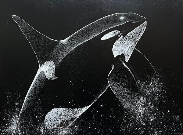 Glen Melville artwork 'Glen Melville - "Orca Breach."' at White Rock Gallery