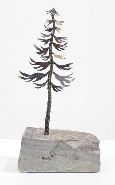 #24-093 - Fir Tree in Rock