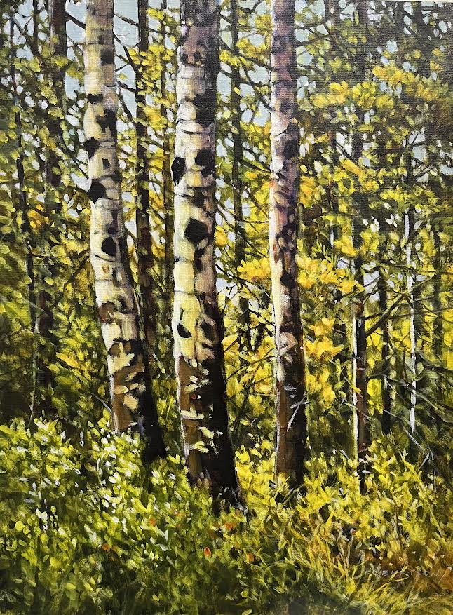 Janice Robertson artwork 'Janice Robertson - "Aspen Glow"' at White Rock Gallery