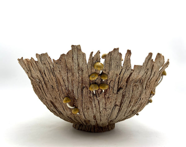 Bev Ellis artwork 'The Gathering' at White Rock Gallery