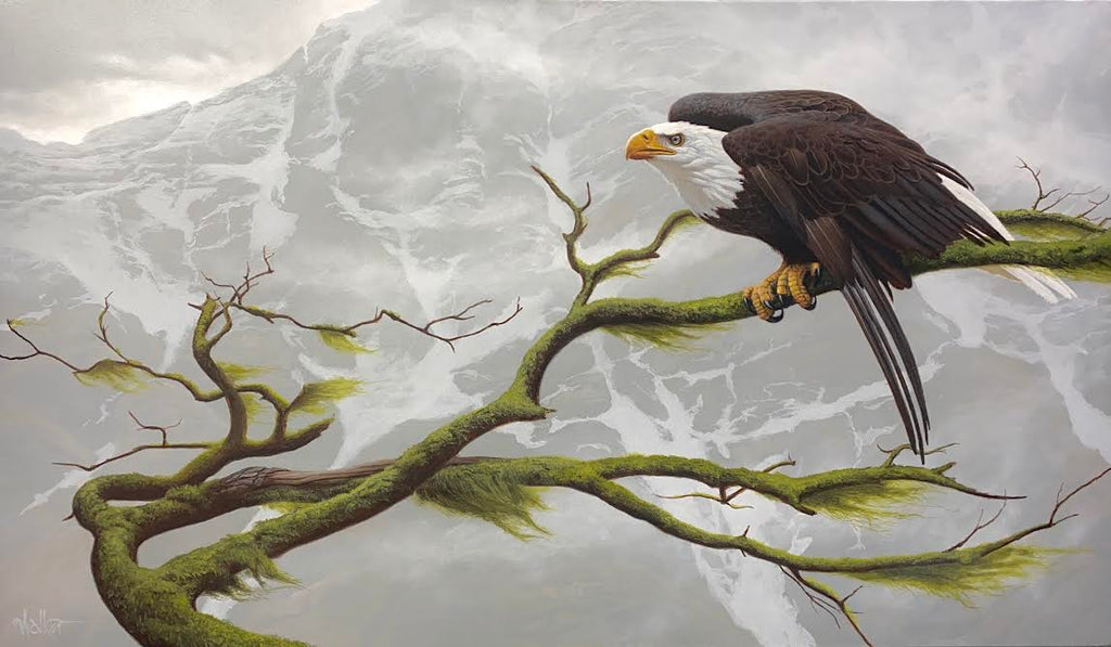 Christopher Walker artwork 'Congruity' at White Rock Gallery