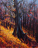Michael O'Toole artwork 'The Old Timer' at White Rock Gallery