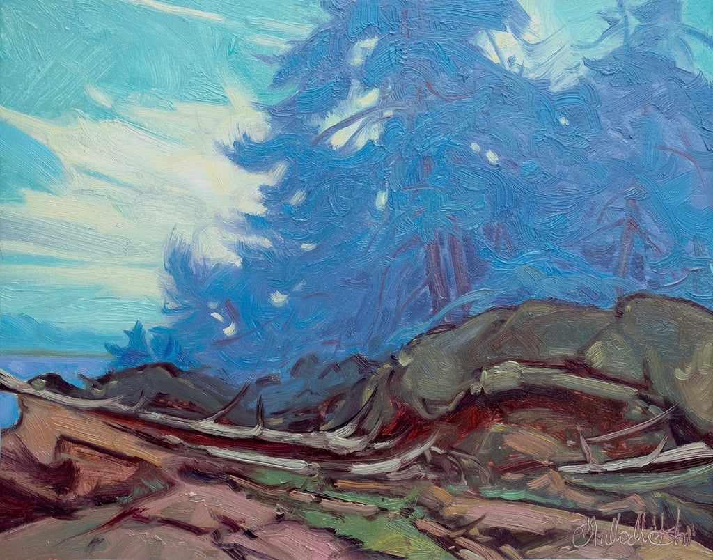 Dominik J. Modlinski artwork 'Coastal Paradise' at White Rock Gallery
