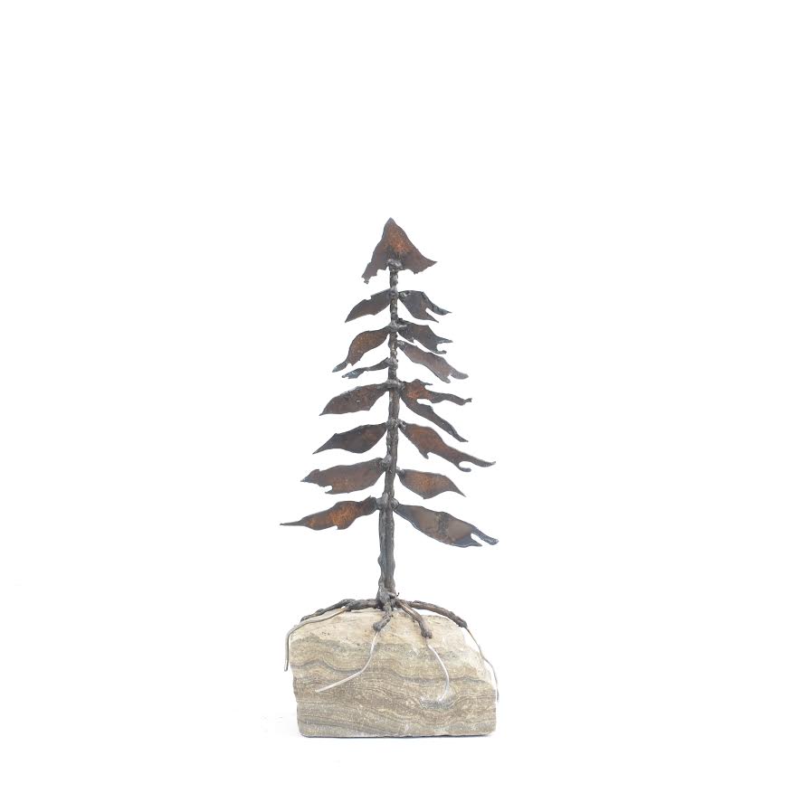Floyd Elzinga artwork '#25-053 Rooted in Rock' at White Rock Gallery