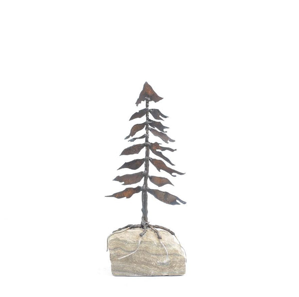 Floyd Elzinga artwork '#25-053 Rooted in Rock' at White Rock Gallery