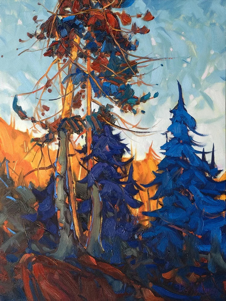 Dominik J. Modlinski artwork 'Dominik J. Modlinski - "Ancient Cedars"' at White Rock Gallery