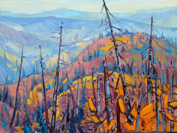 Dominik J. Modlinski artwork 'Top of the World-Yukon' at White Rock Gallery