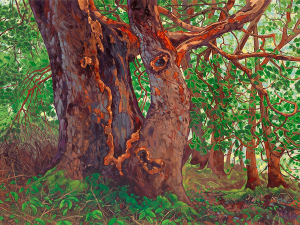 Dominik J. Modlinski artwork 'The Ancient One' at White Rock Gallery