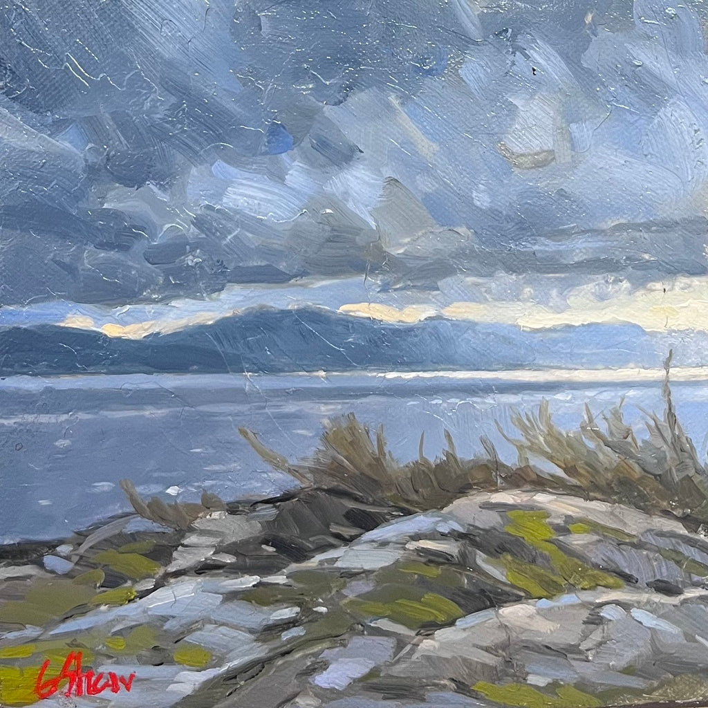 Graeme Shaw artwork 'Graeme Shaw - "Gulf View"' at White Rock Gallery