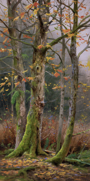 Renato Muccillo artwork 'Renato Muccillo - "Green belt in Autumn"' at White Rock Gallery