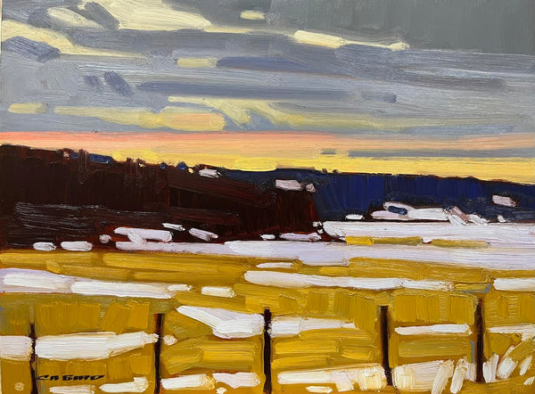 Cameron Bird artwork 'Felker Lake Evening' at White Rock Gallery