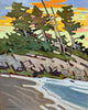 Cameron Bird oil painting of a coastal British Columbia shoreline, expressive contemporary Canadian landscape, available at White Rock Gallery