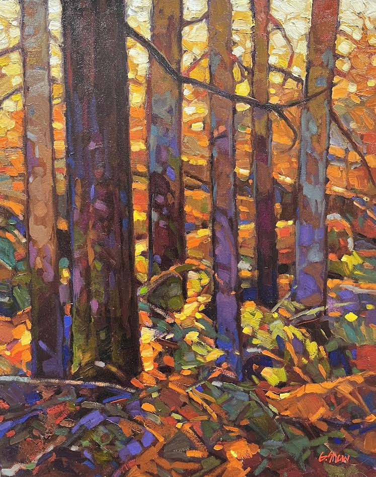 Graeme Shaw artwork 'Deep Woods Glow' at White Rock Gallery