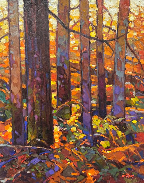 Graeme Shaw artwork 'Deep Woods Glow' at White Rock Gallery