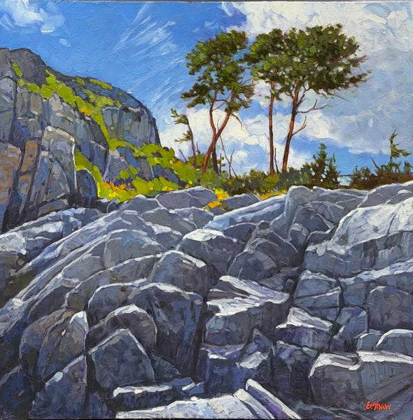 Graeme Shaw artwork 'Gulf Island Summer Day' at White Rock Gallery