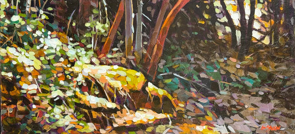 Graeme Shaw artwork 'Sun Spots (Linley Valey)' at White Rock Gallery