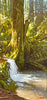 Graeme Shaw artwork 'Winter Overflow' at White Rock Gallery