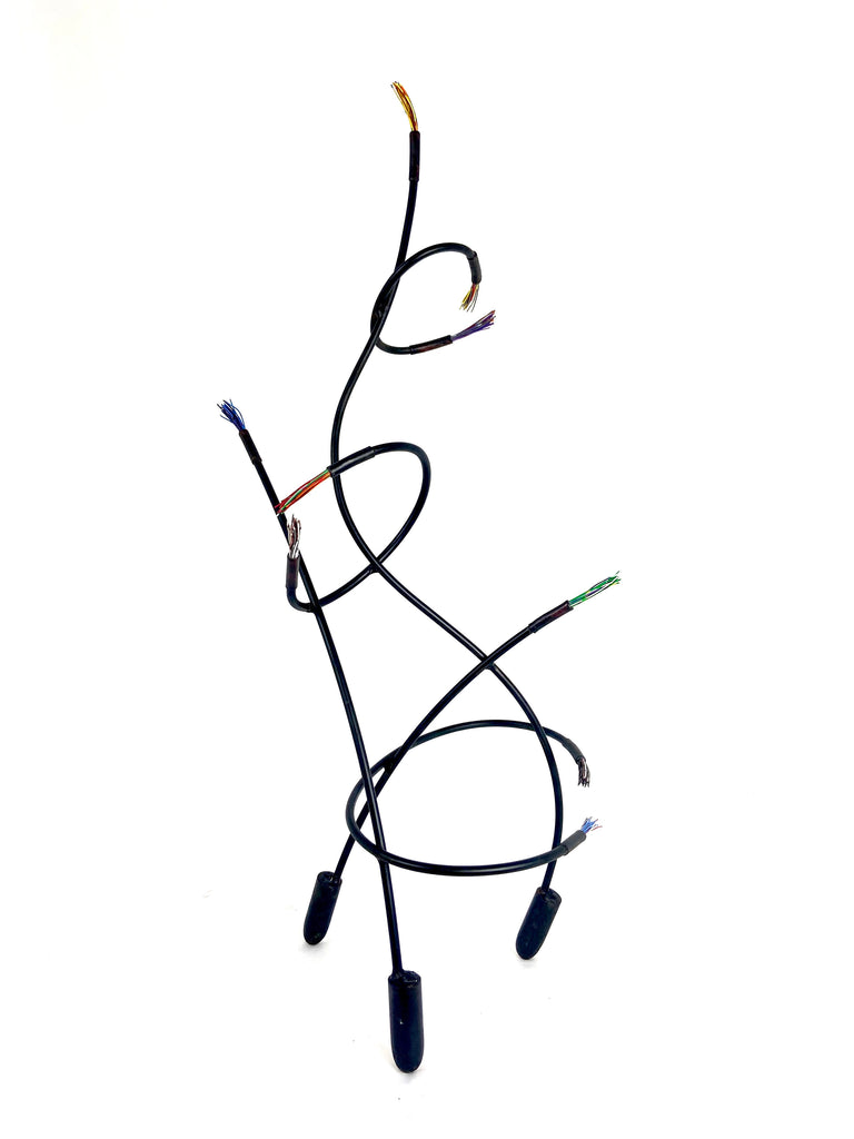 Janis Woode artwork 'Sky Wire III' at White Rock Gallery
