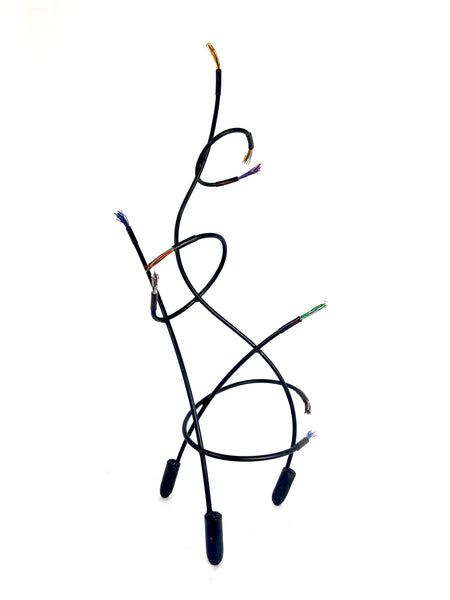 Janis Woode artwork 'Sky Wire III' at White Rock Gallery