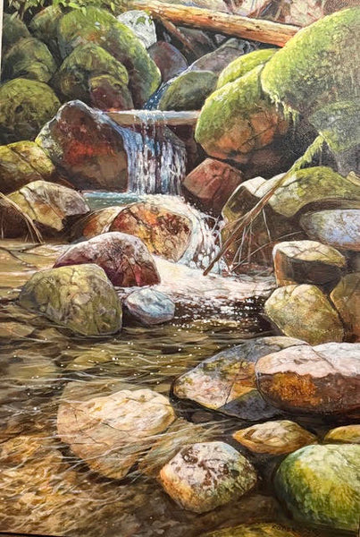 Janice Robertson artwork 'Janice Robertson - Slip and Slide' at White Rock Gallery