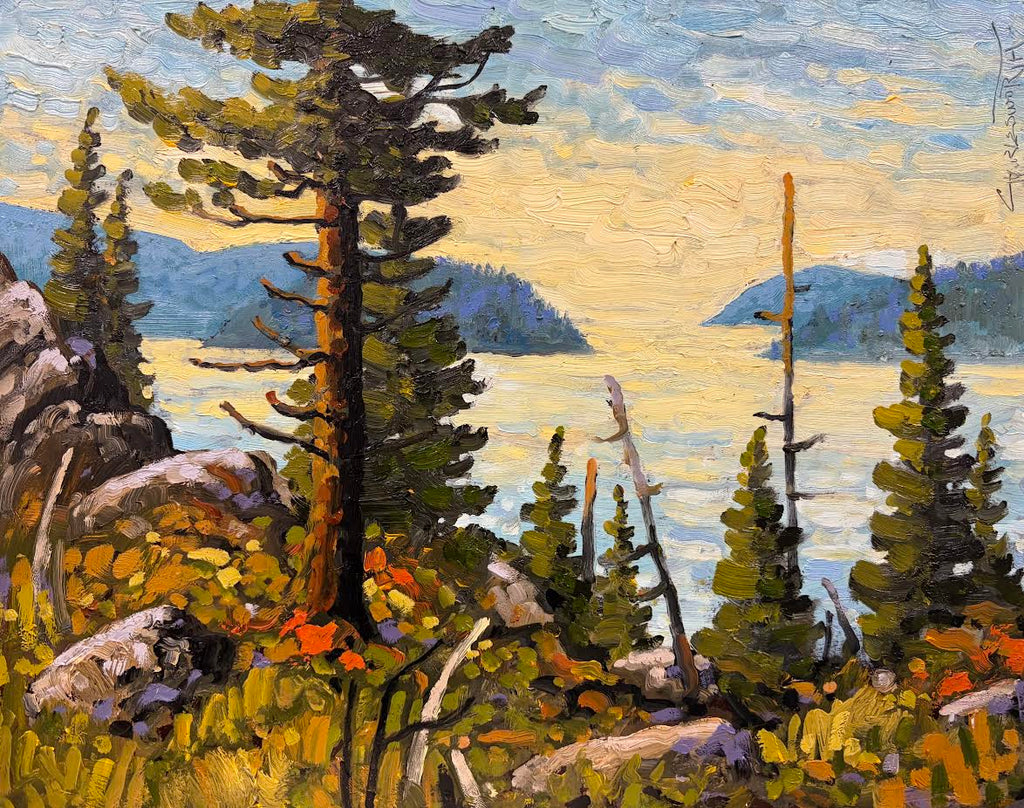 Rod Charlesworth artwork 'Rod Charlesworth - Gulf Islands Vista' at White Rock Gallery