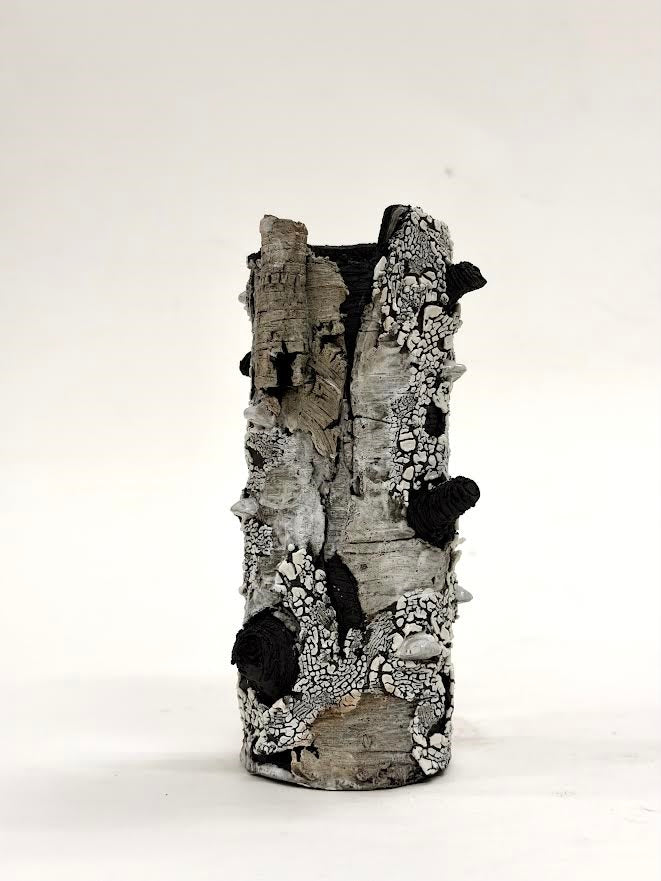 Bev Ellis artwork 'Bev Ellis - Companion' at White Rock Gallery