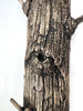Delights of Decay (Wall Mounted)