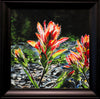 Jennifer Annesley - "Rocky River Paintbrush"